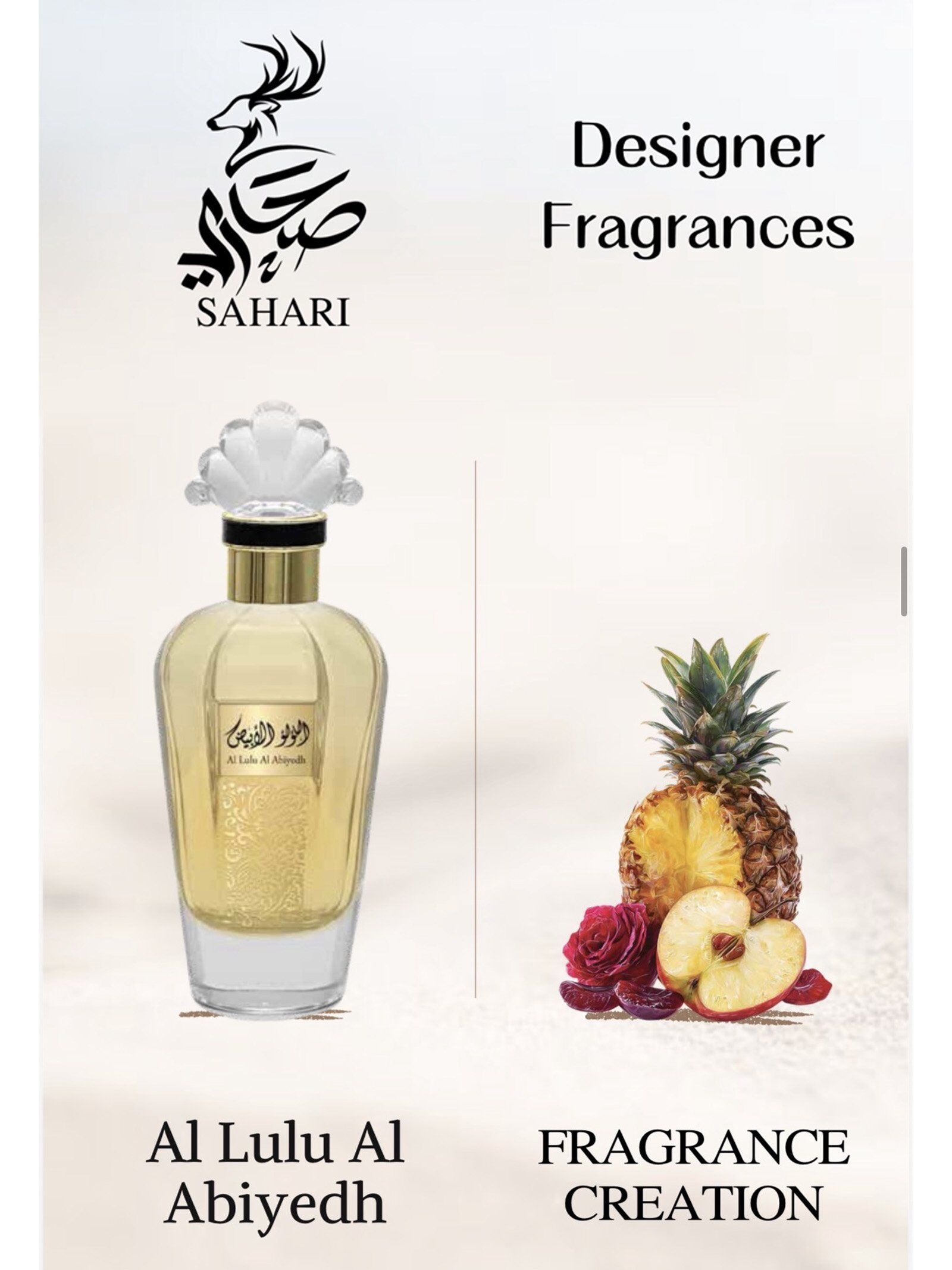 set emprende 1 + 24 Spray Mists GRATIS - Image 26